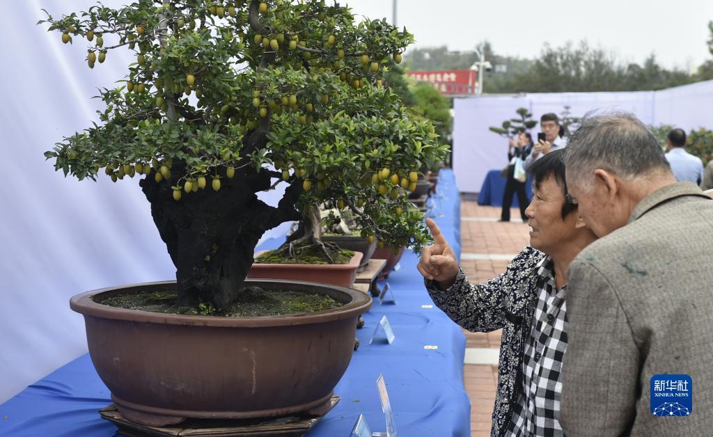 千炮打鲨鱼